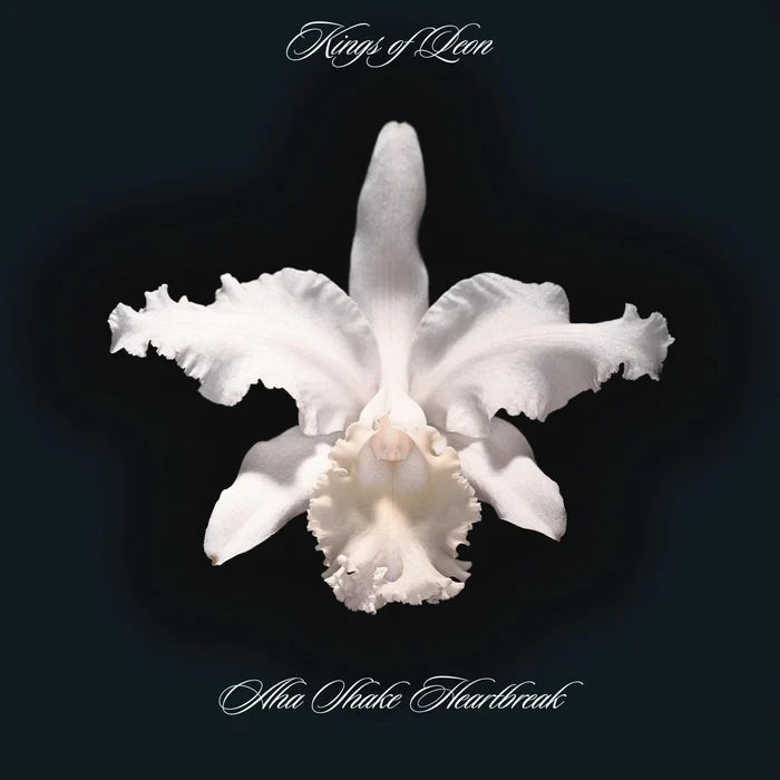 Kings Of Leon – Aha Shake Heartbreak — record image 1