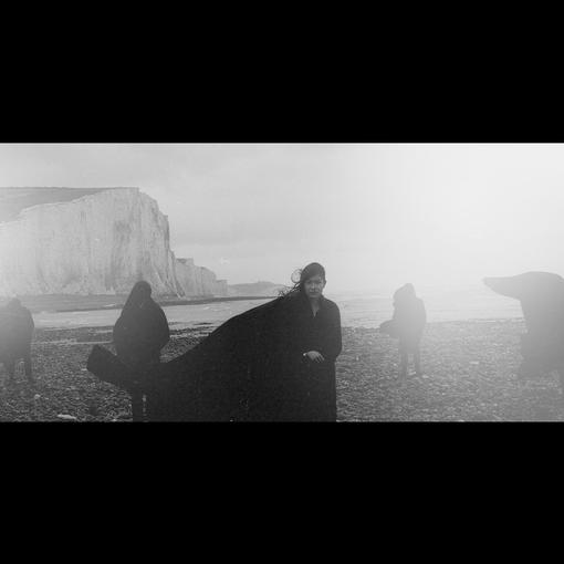 DOG IN THE SNOW — VANISHING LANDS