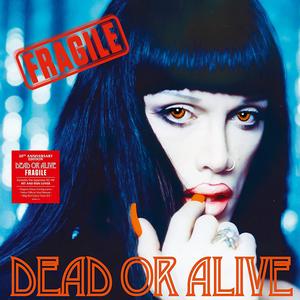 Dead Or Alive – Fragile vinyl record cover