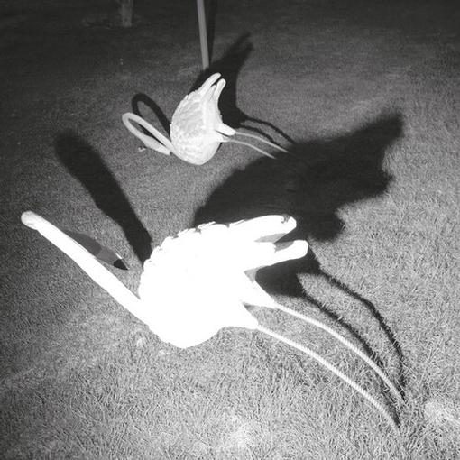 AMINI SIAVASH — A MIMESIS OF NOTHINGNESS