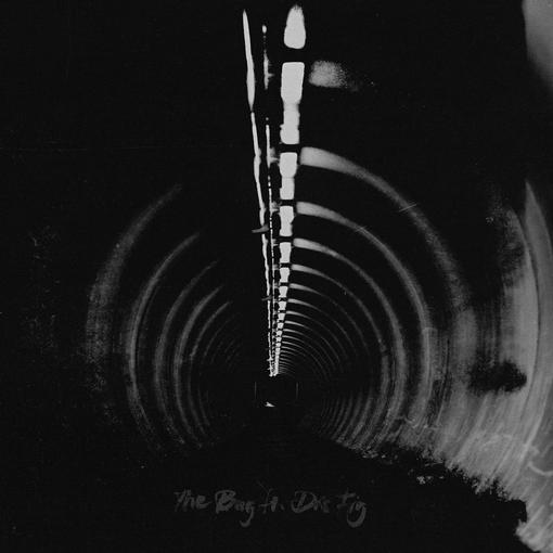 THE BUG FT DIS FIG — IN BLUE — record image 1