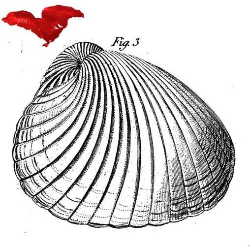 Petter Eldh, Koma Saxo & Sofia Jernberg — Koma West — record image 1