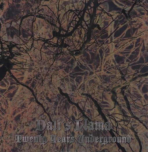 DALIS LLAMA — TWENTY YEARS UNDERGROUND — record image 1
