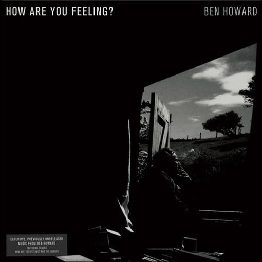 Ben Howard — How Are You Feeling? — record image 1