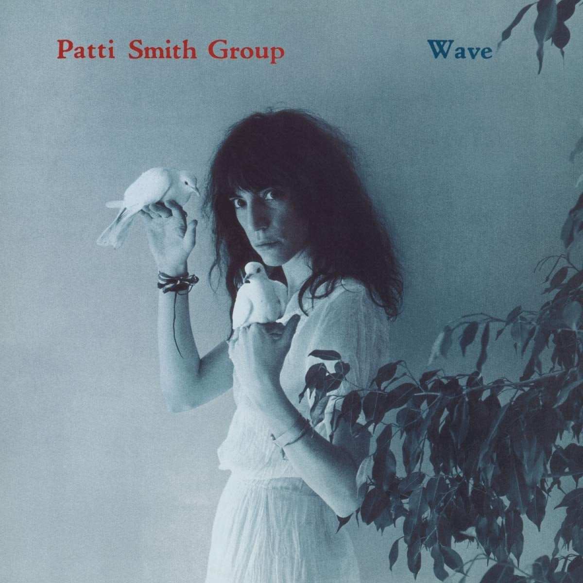 The Patti Smith Group – Wave vinyl record cover
