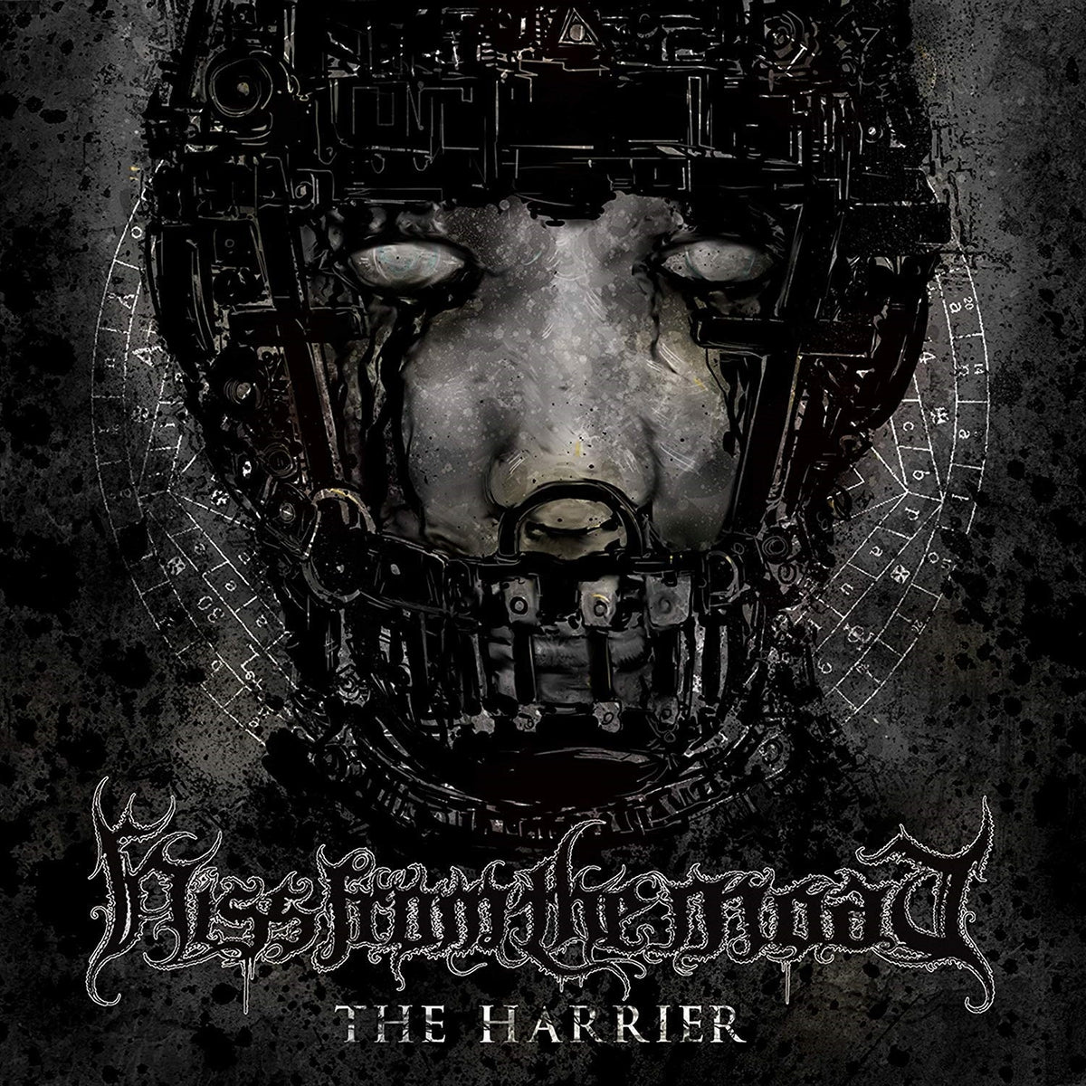 Hiss from the Moat – The Harrier vinyl record cover