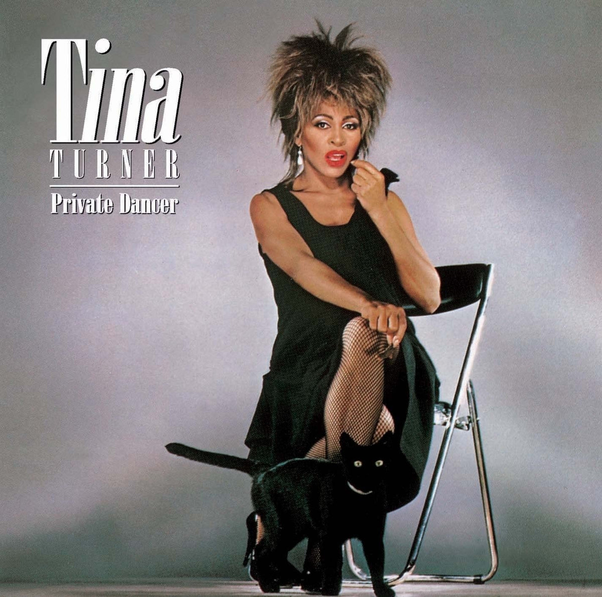 Tina Turner – Private Dancer vinyl record cover