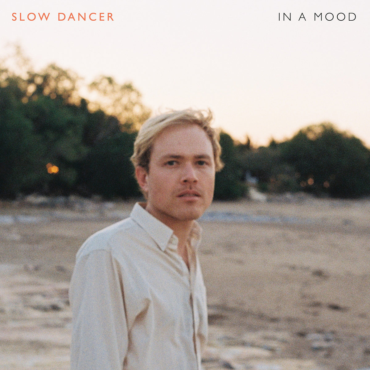 Slow Dancer – In A Mood vinyl record cover