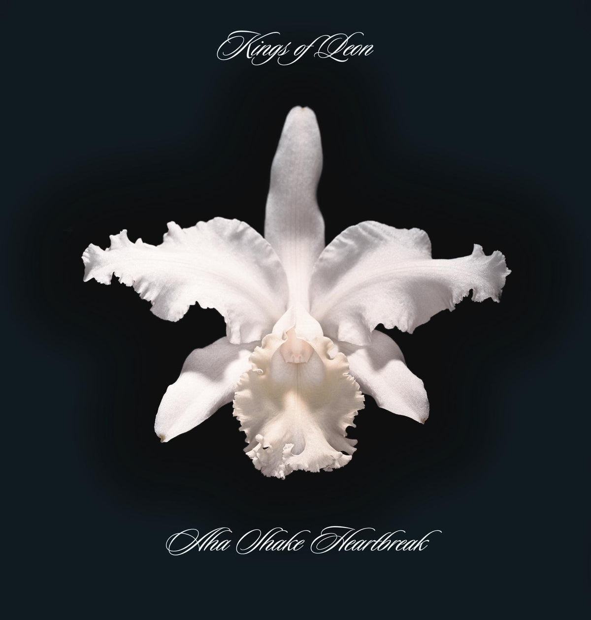 Kings Of Leon – Aha Shake Heartbreak (2Lp/180G/Gatefold) vinyl record cover