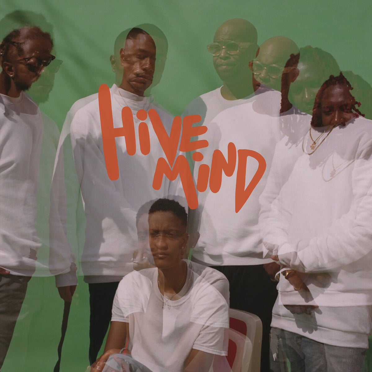 The Internet – Hive Mind vinyl record cover
