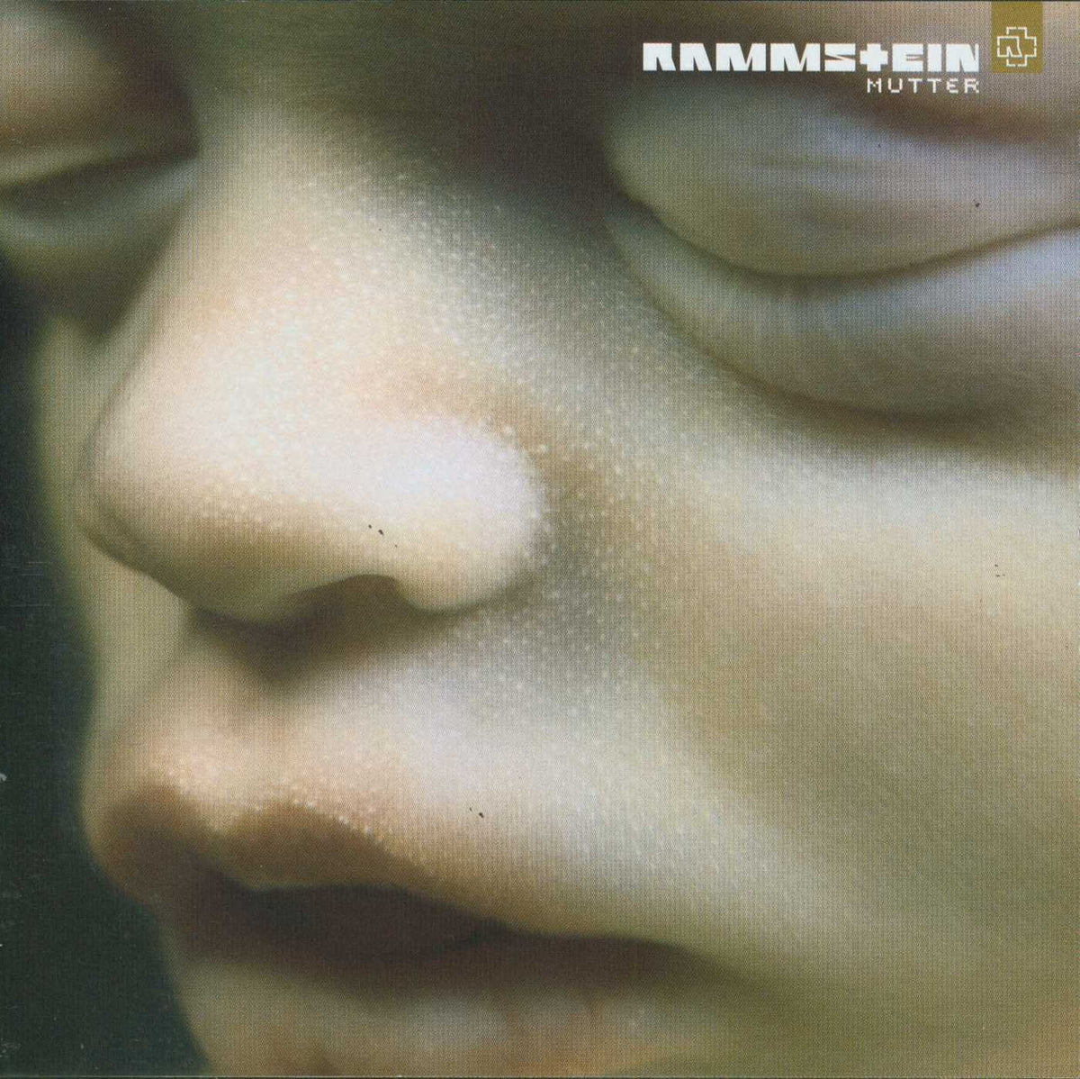 Rammstein – Mutter vinyl record cover