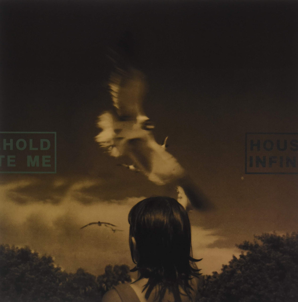 Household & Infinite Me – Split vinyl record cover