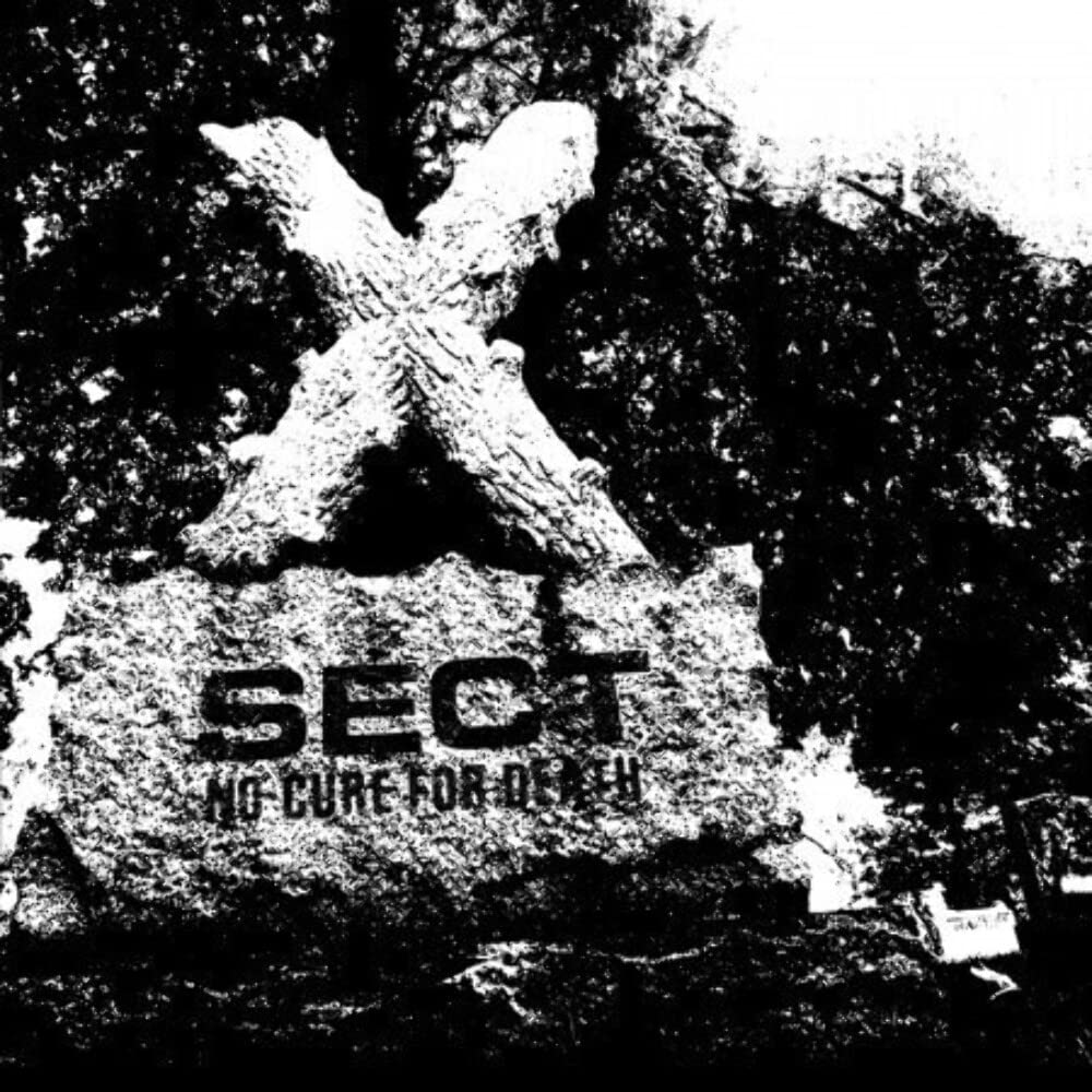 Sect – No Cure For Death  by Sect vinyl record cover