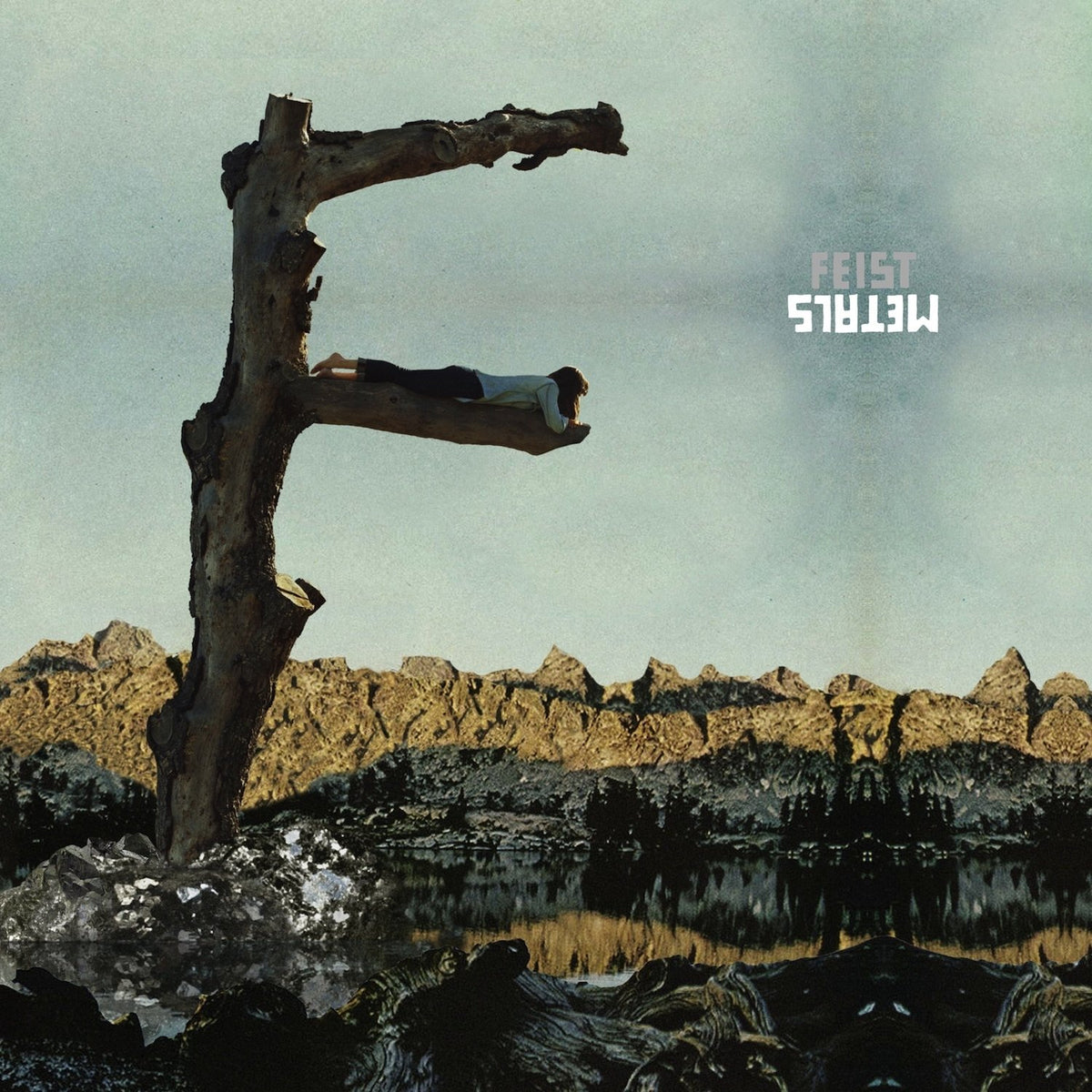 Feist – METALS  by FEIST vinyl record cover