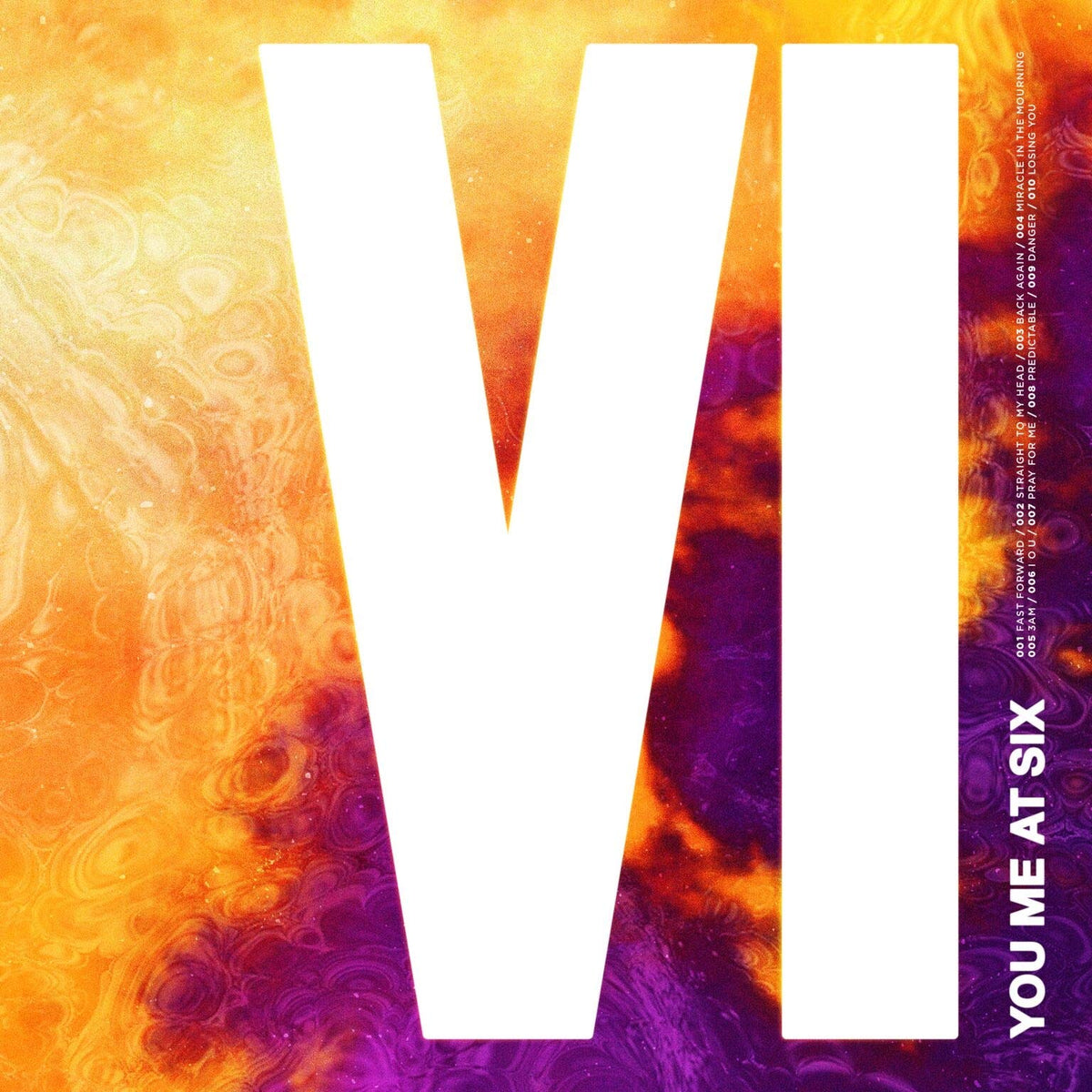You Me At Six – Vi vinyl record cover