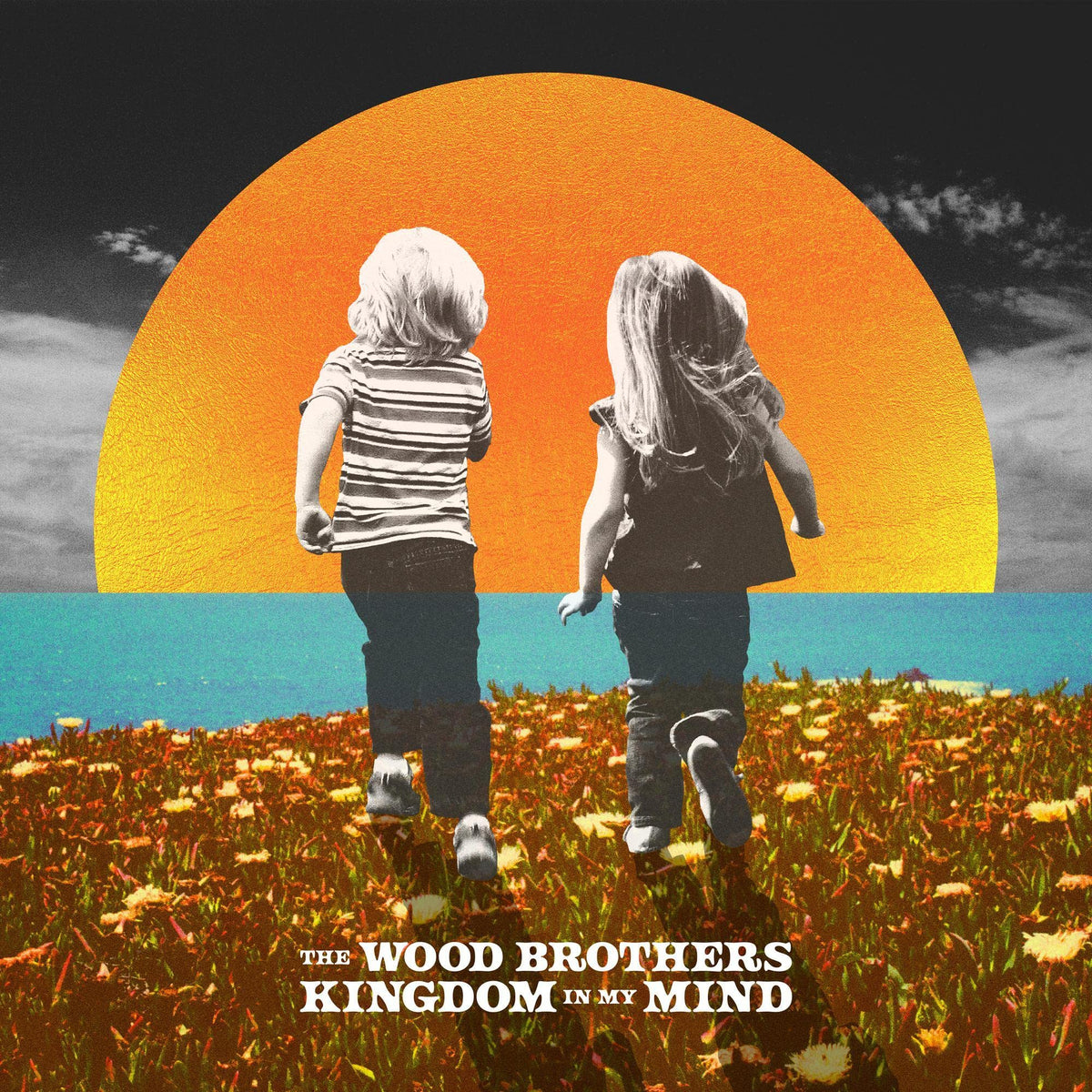 The Wood Brothers – Kingdom in My Mind vinyl record cover