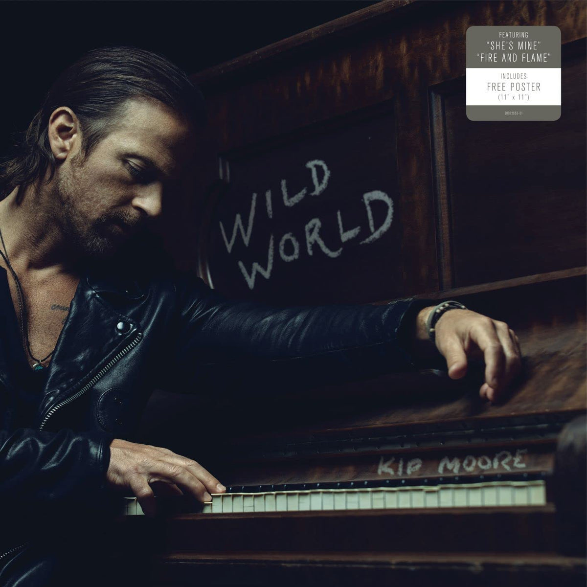 Kip Moore – WILD WORLD(LP)  by KIP MOORE vinyl record cover
