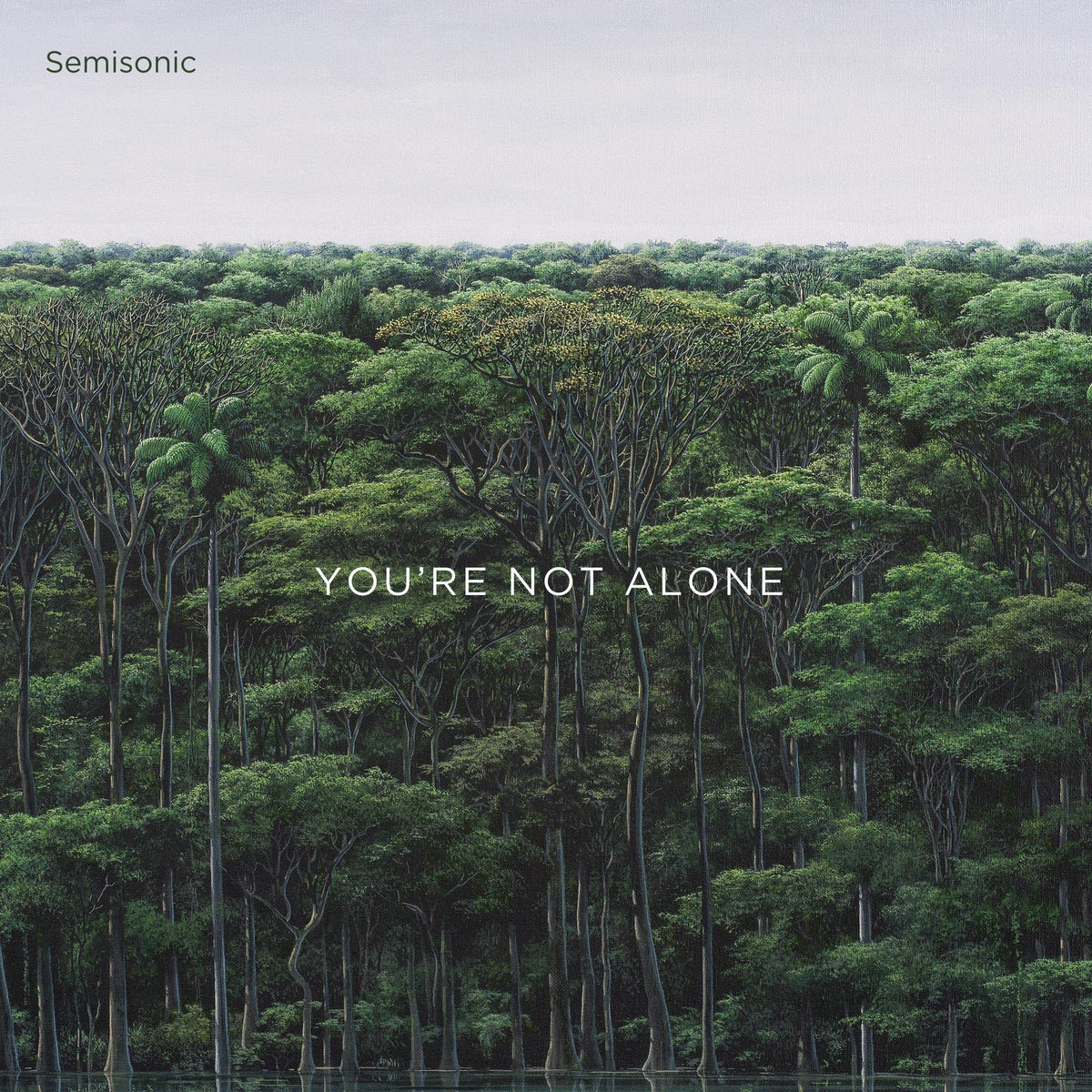 Semisonic – You're Not Alone vinyl record cover