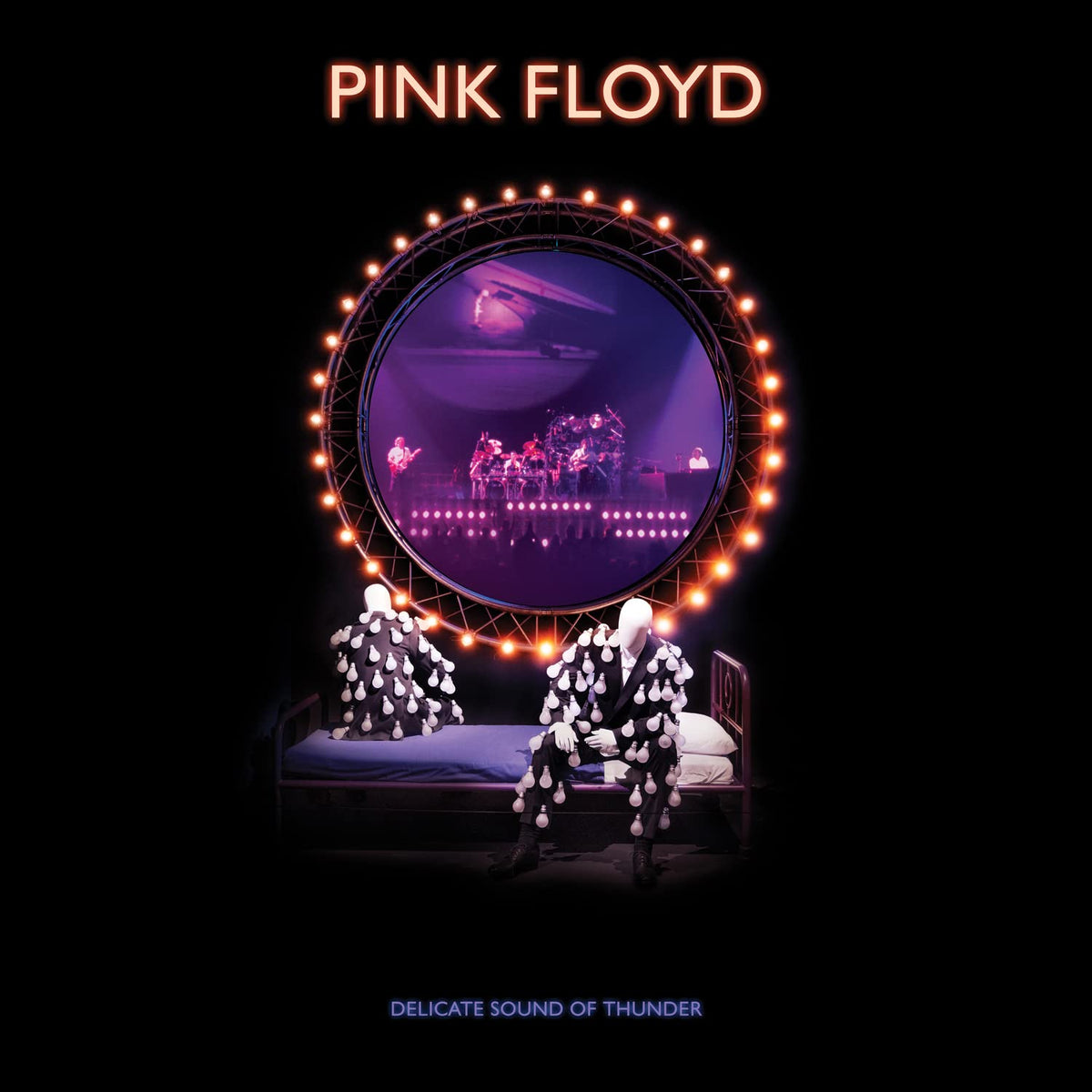 Pink Floyd – Delicate Sound Of Thunder vinyl record cover