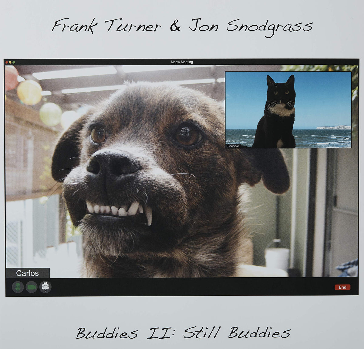 Frank Turner & Jon Snodgrass – Buddies II: Still Buddies (Coloured Vinyl) vinyl record cover