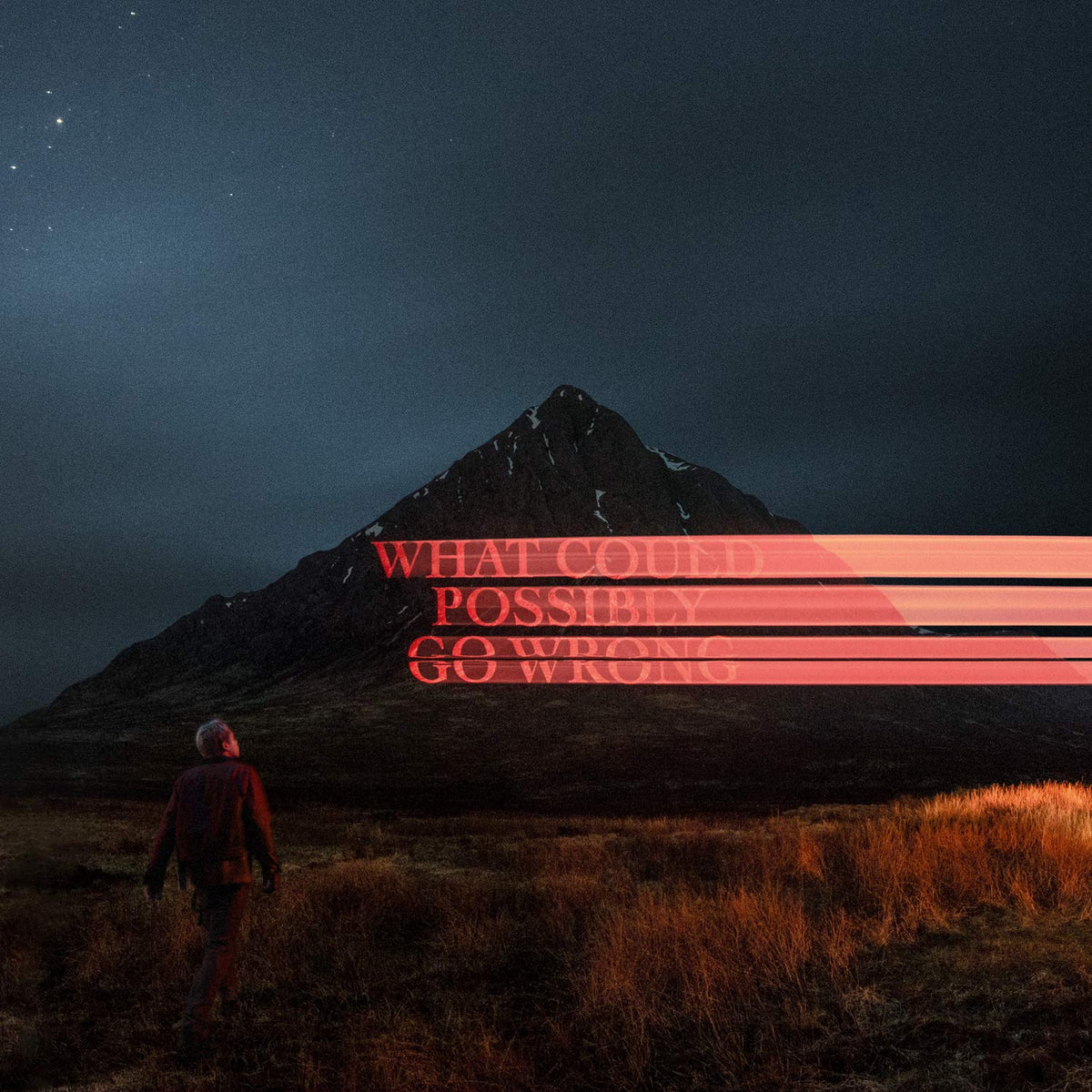 Dominic Fike – What Could Possibly Go Wrong vinyl record cover