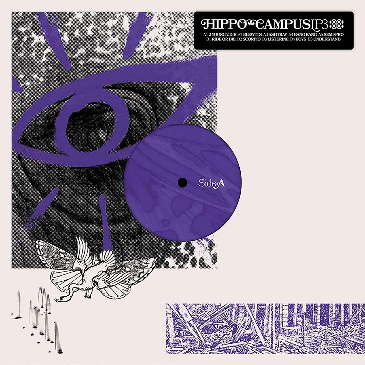 Hippo Campus – Lp3 vinyl record cover
