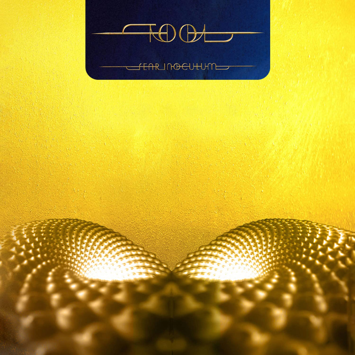 Tool – Fear Inoculum vinyl record cover