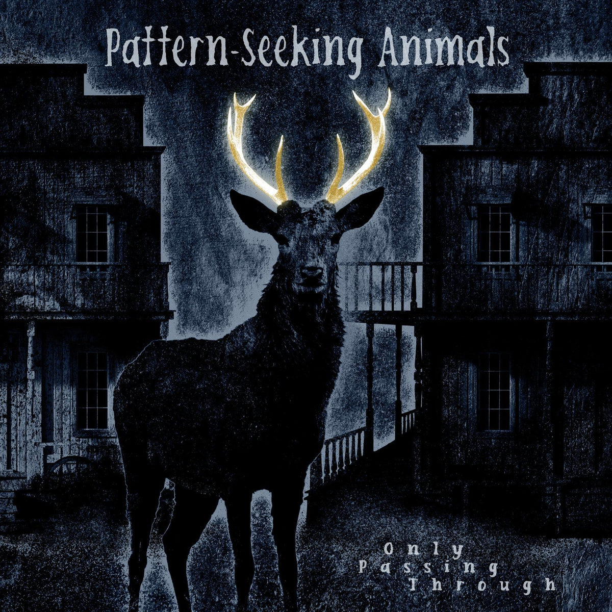 Pattern-Seeking Animals – Only Passing Through vinyl record cover