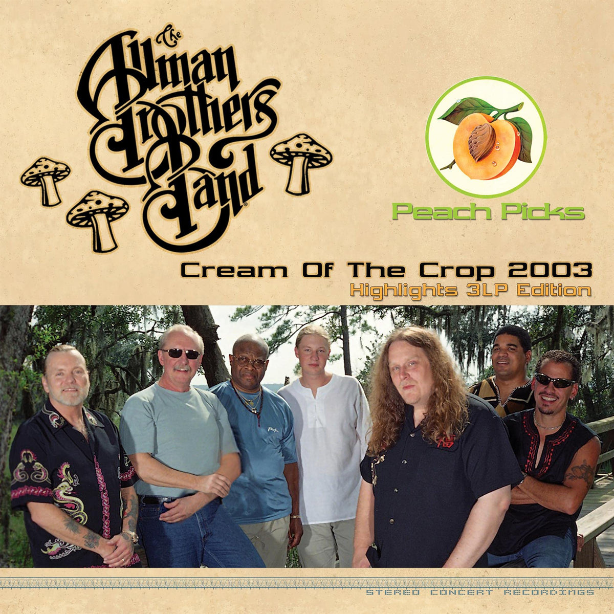 The Allman Brothers Band – Cream of the Crop 2003 vinyl record cover