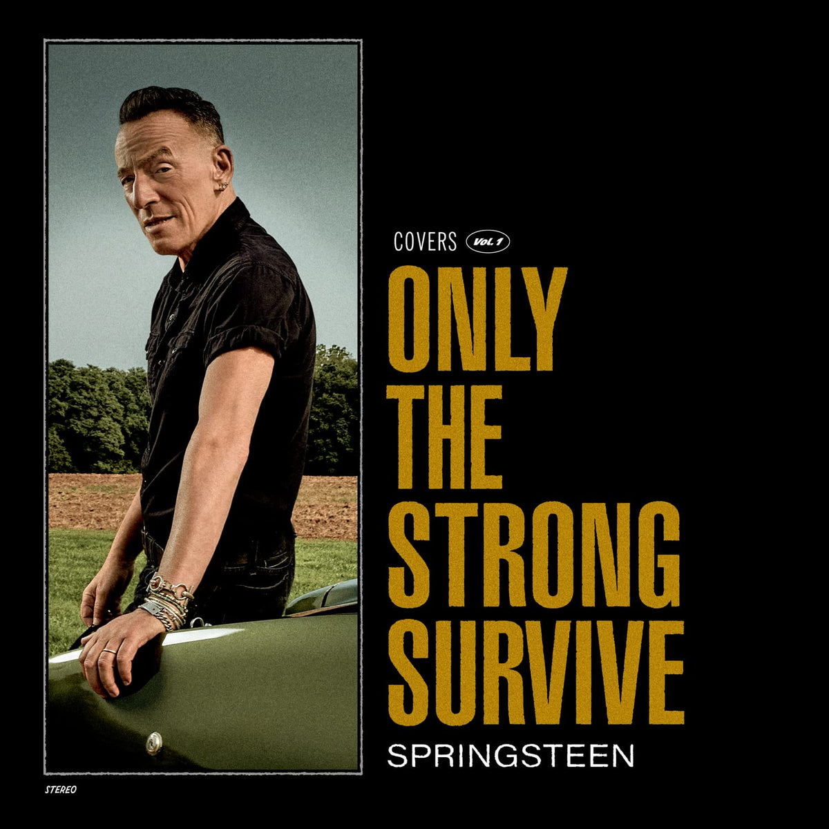 Bruce Springsteen – Only the Strong Survive vinyl record cover