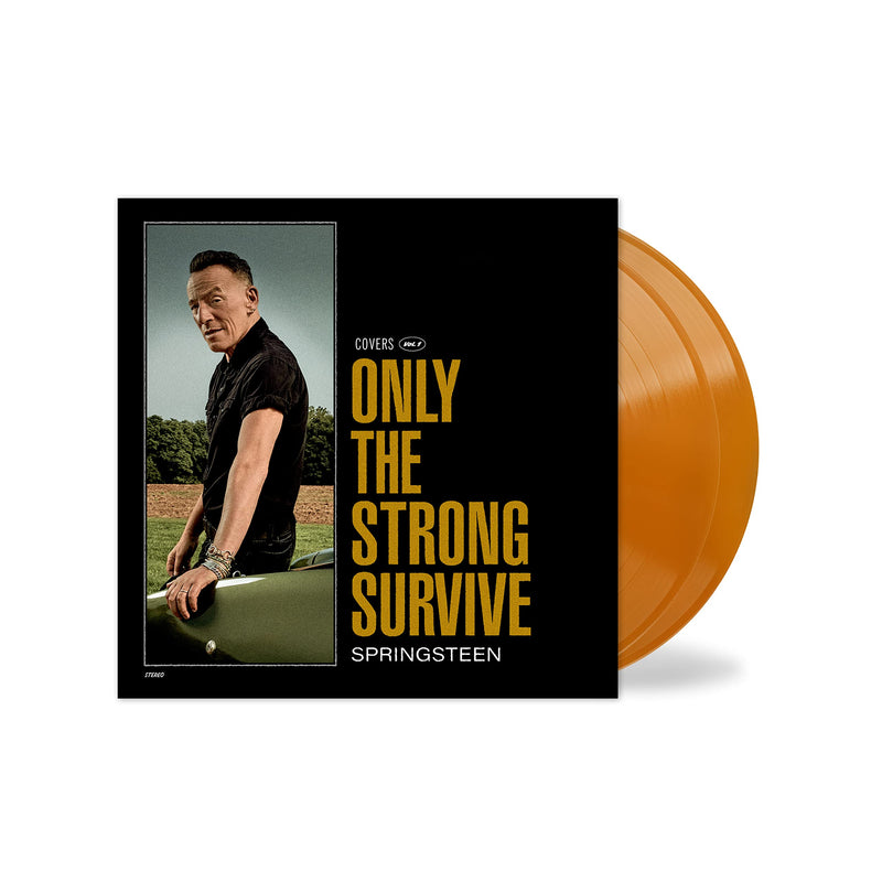 Bruce Springsteen – Only the Strong Survive vinyl record cover