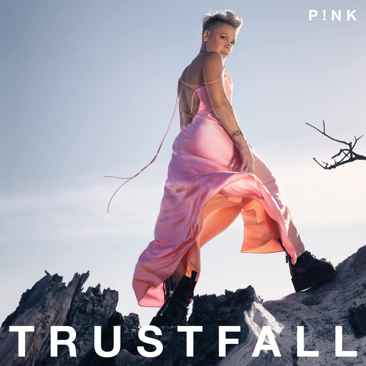 P!nk – Trustfall vinyl record cover