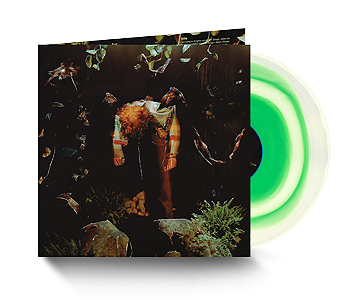 cavetown – Worm Food vinyl record cover