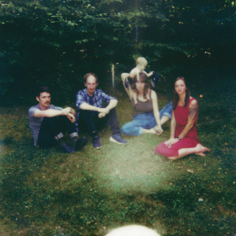 Upstate – You Only Get A Few  by Upstate vinyl record cover