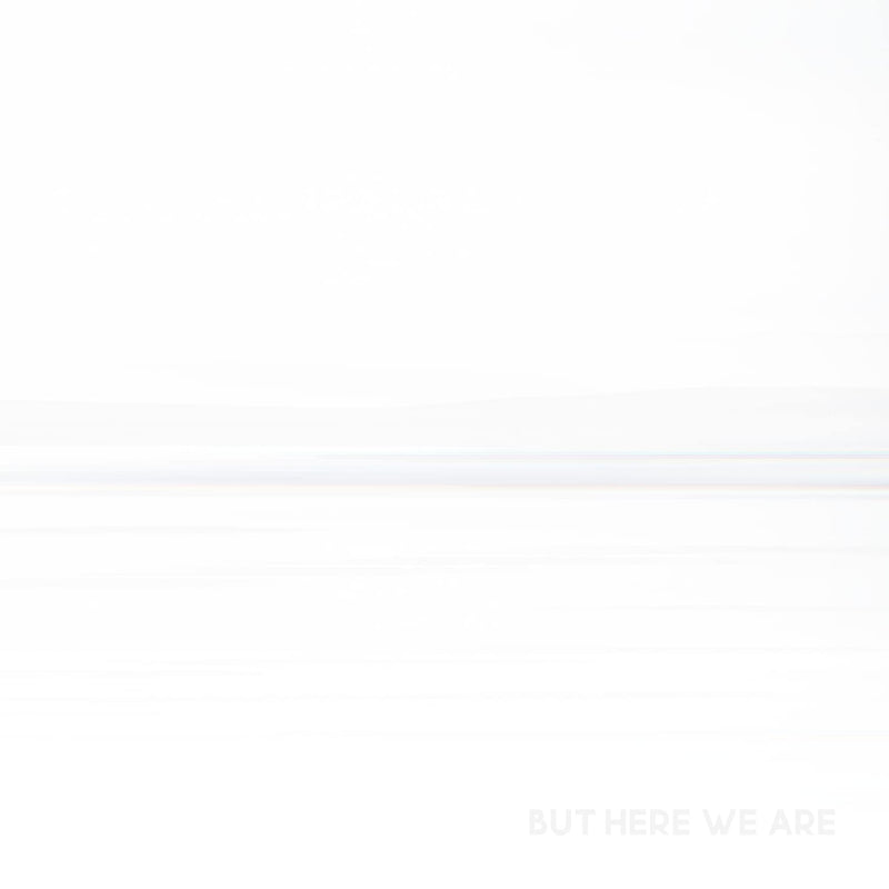 Foo Fighters – But Here We Are vinyl record cover