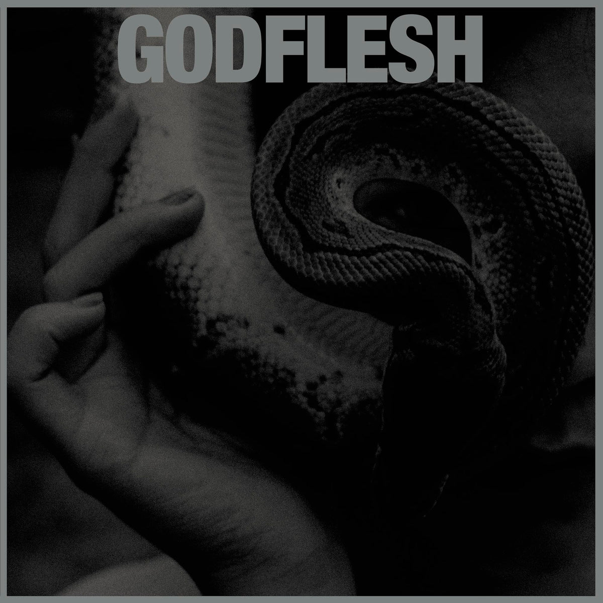 Godflesh – Purge vinyl record cover