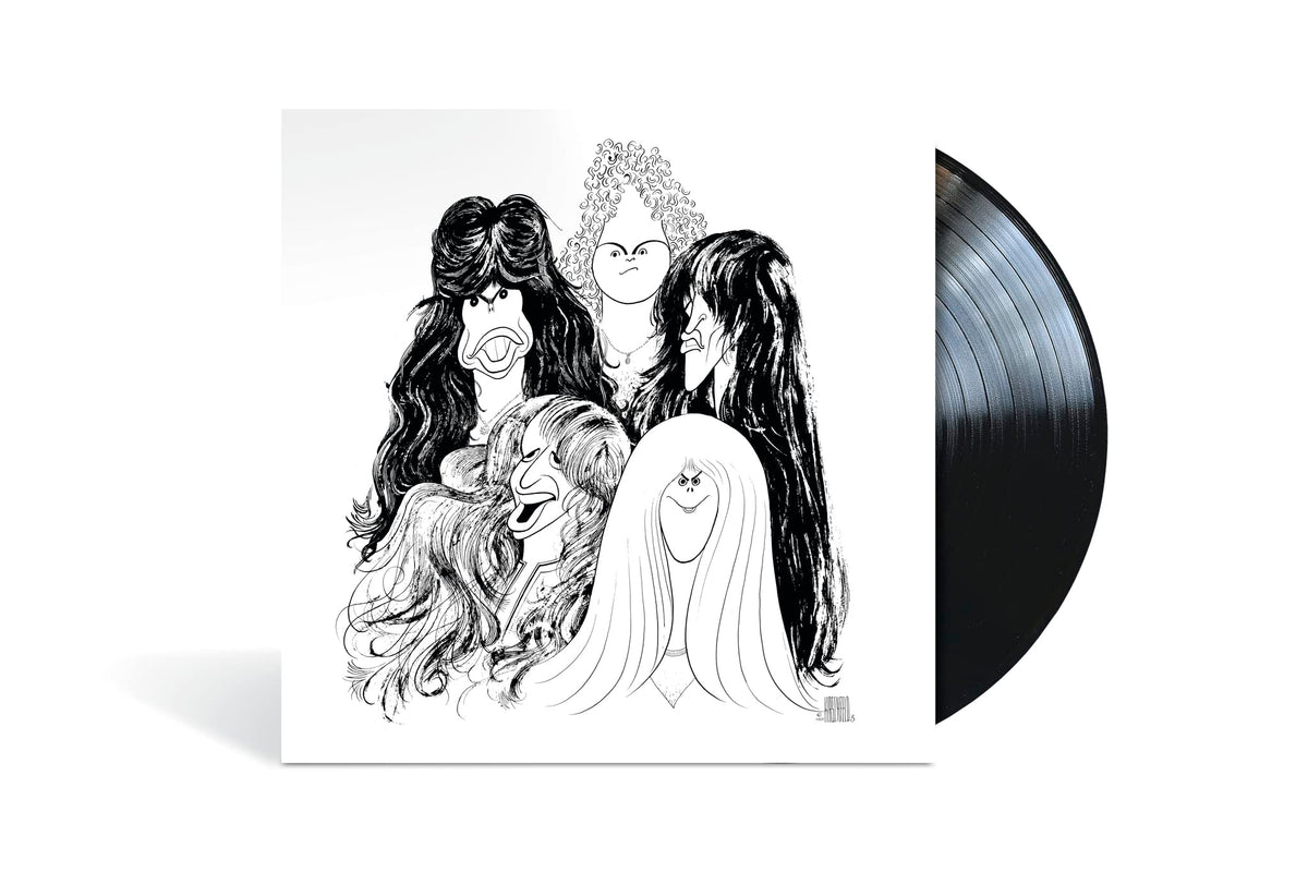 Aerosmith – Draw the Line vinyl record cover