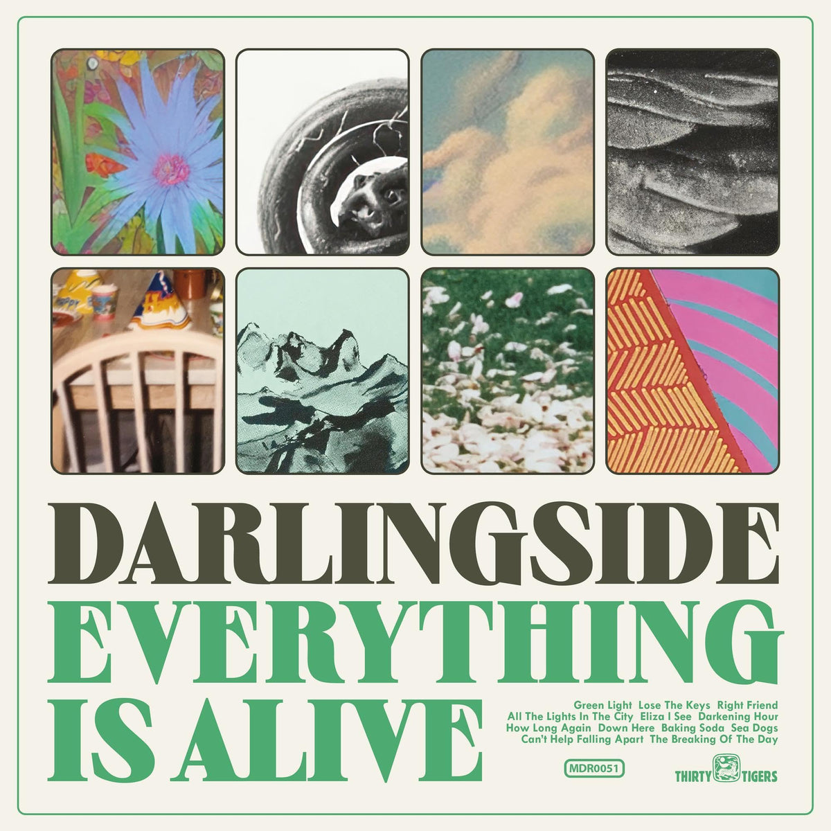 Darlingside – Everything Is Alive vinyl record cover