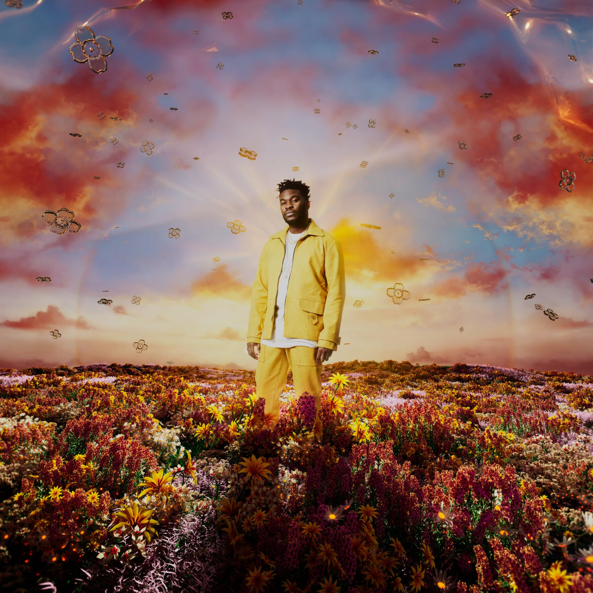 Nonso Amadi – WHEN IT BLOOMS(LP)  by NONSO AMADI vinyl record cover