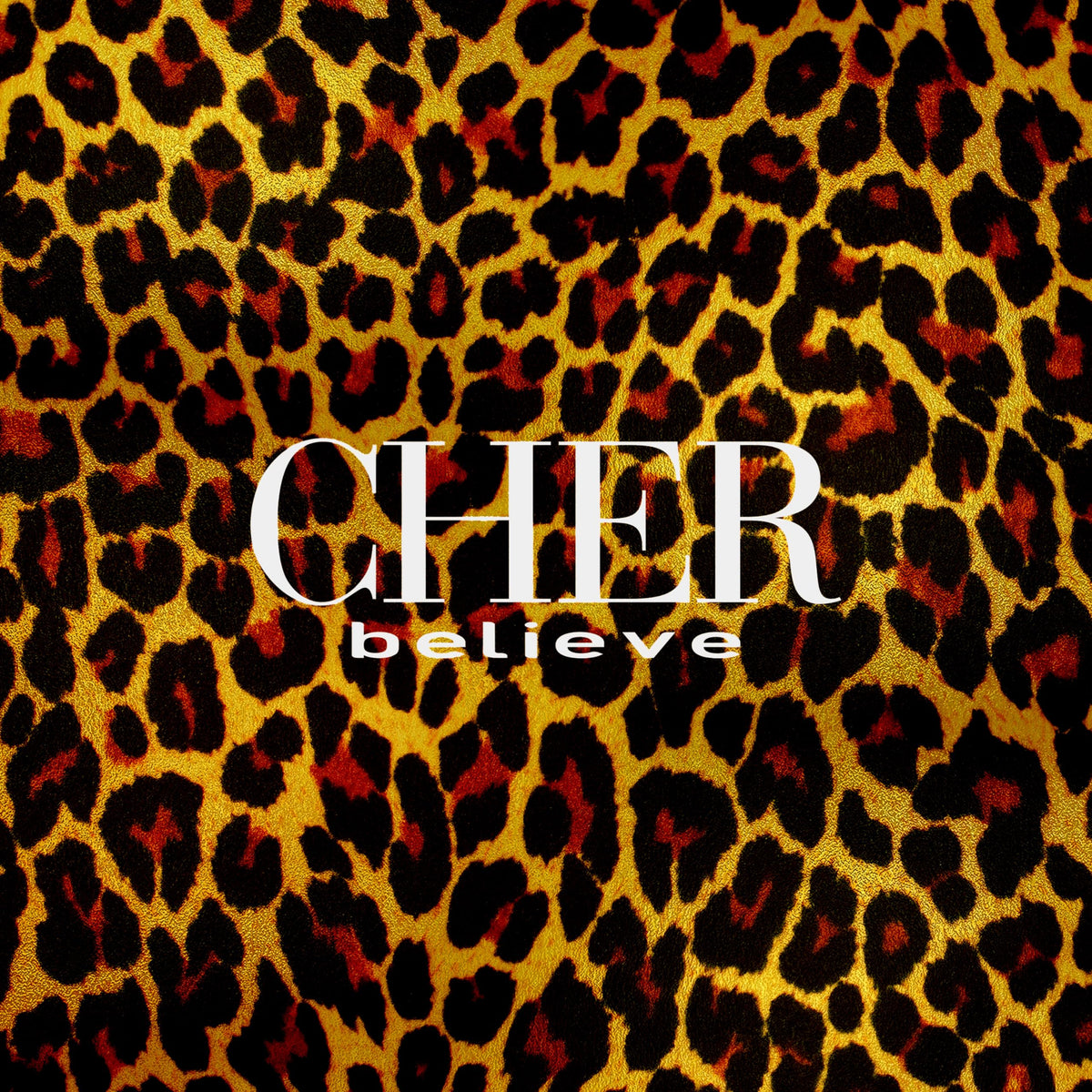 Cher – Believe vinyl record cover
