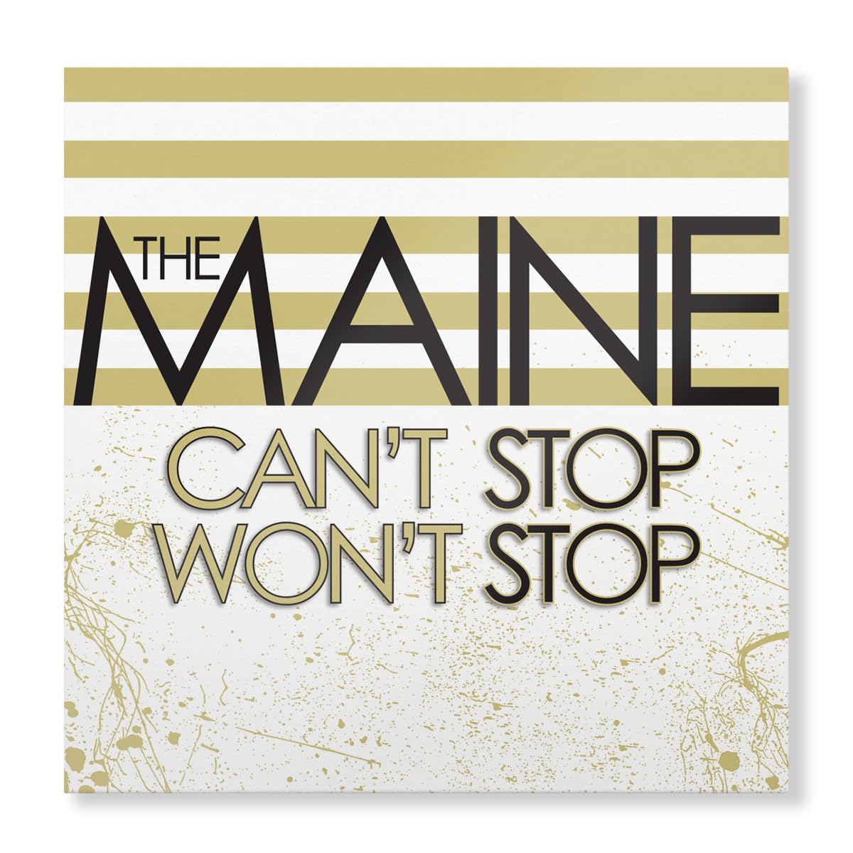 The Maine – Can't Stop Won't Stop vinyl record cover