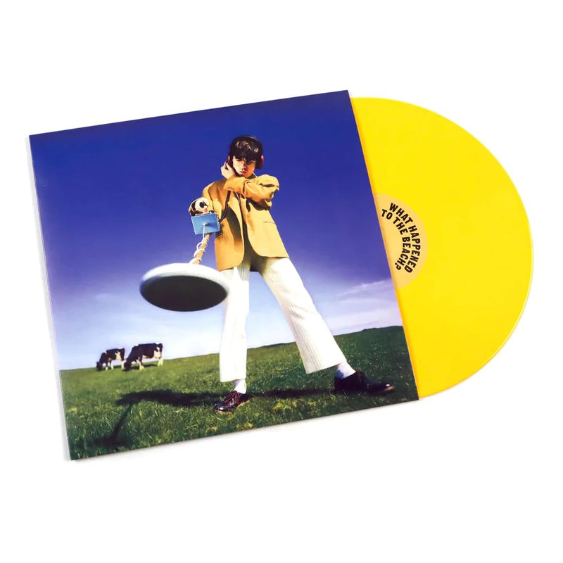 Declan McKenna – What Happened to the Beach? [INDIE EX]  by Declan McKenna vinyl record cover