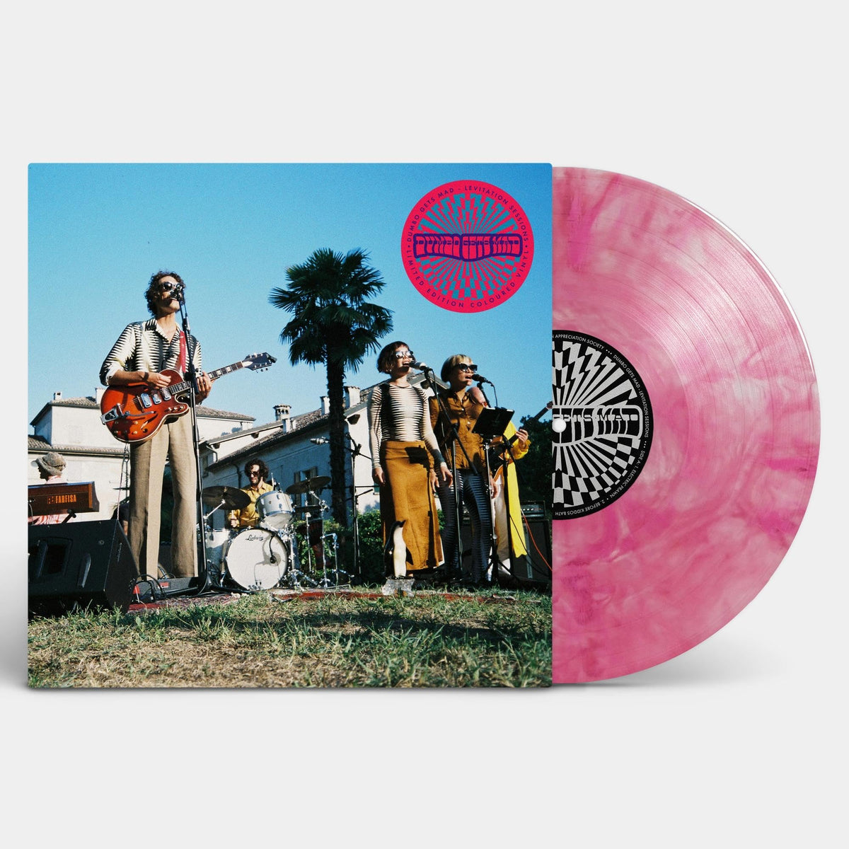 Dumbo Gets Mad – Levitation Sessions vinyl record cover