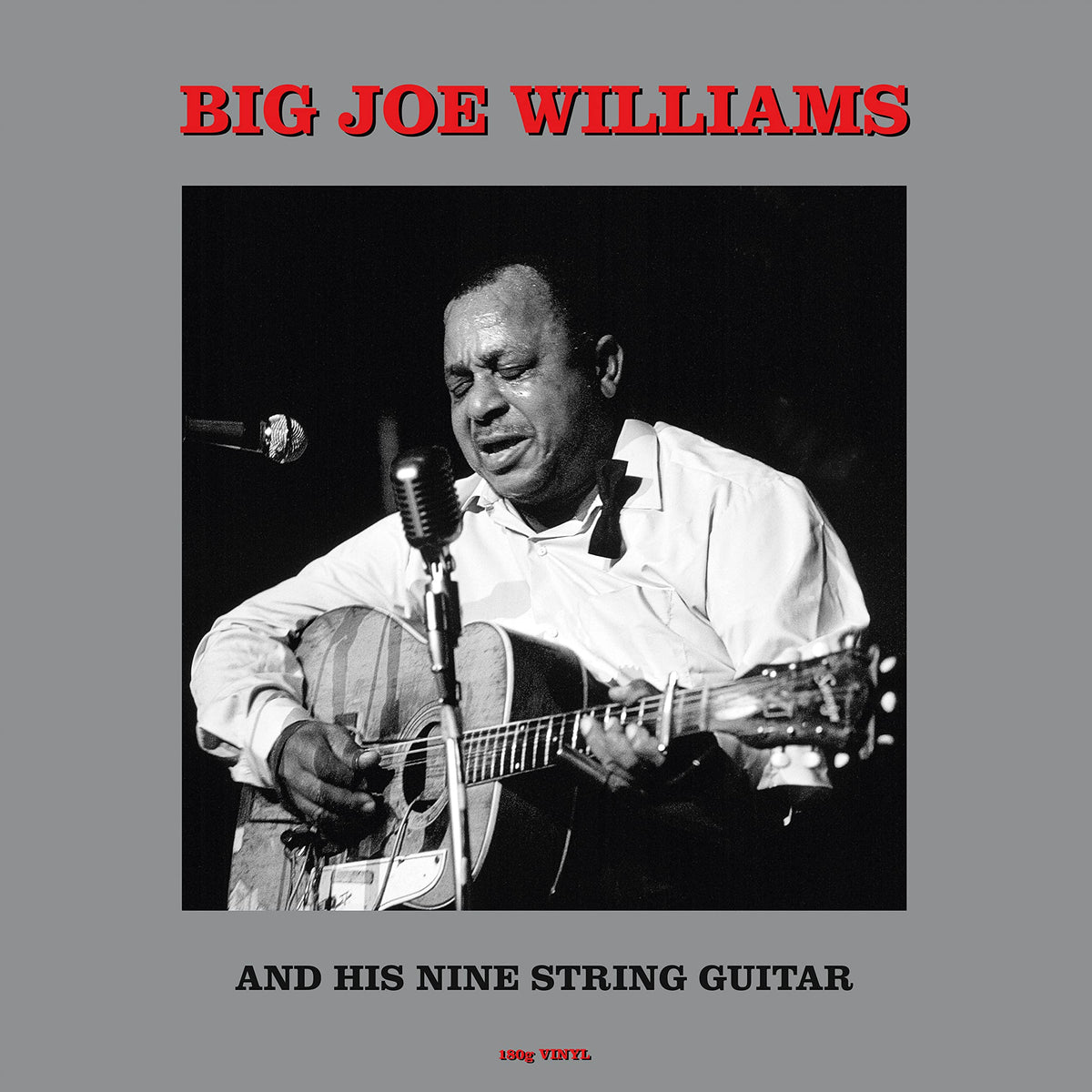 Big Joe Williams – Big Joe Williams and His Nine String Guitar vinyl record cover