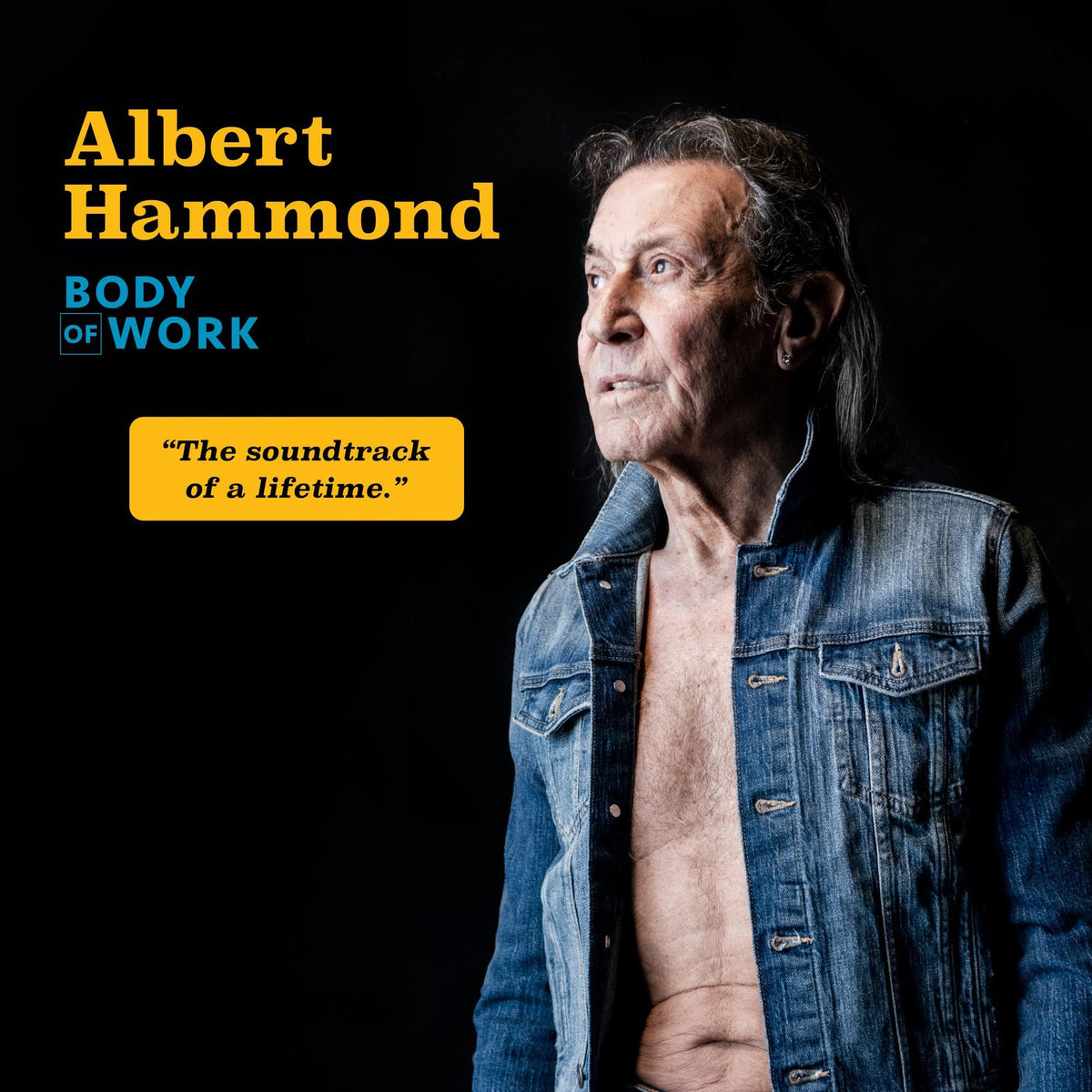 Albert Hammond – Body of Work vinyl record cover