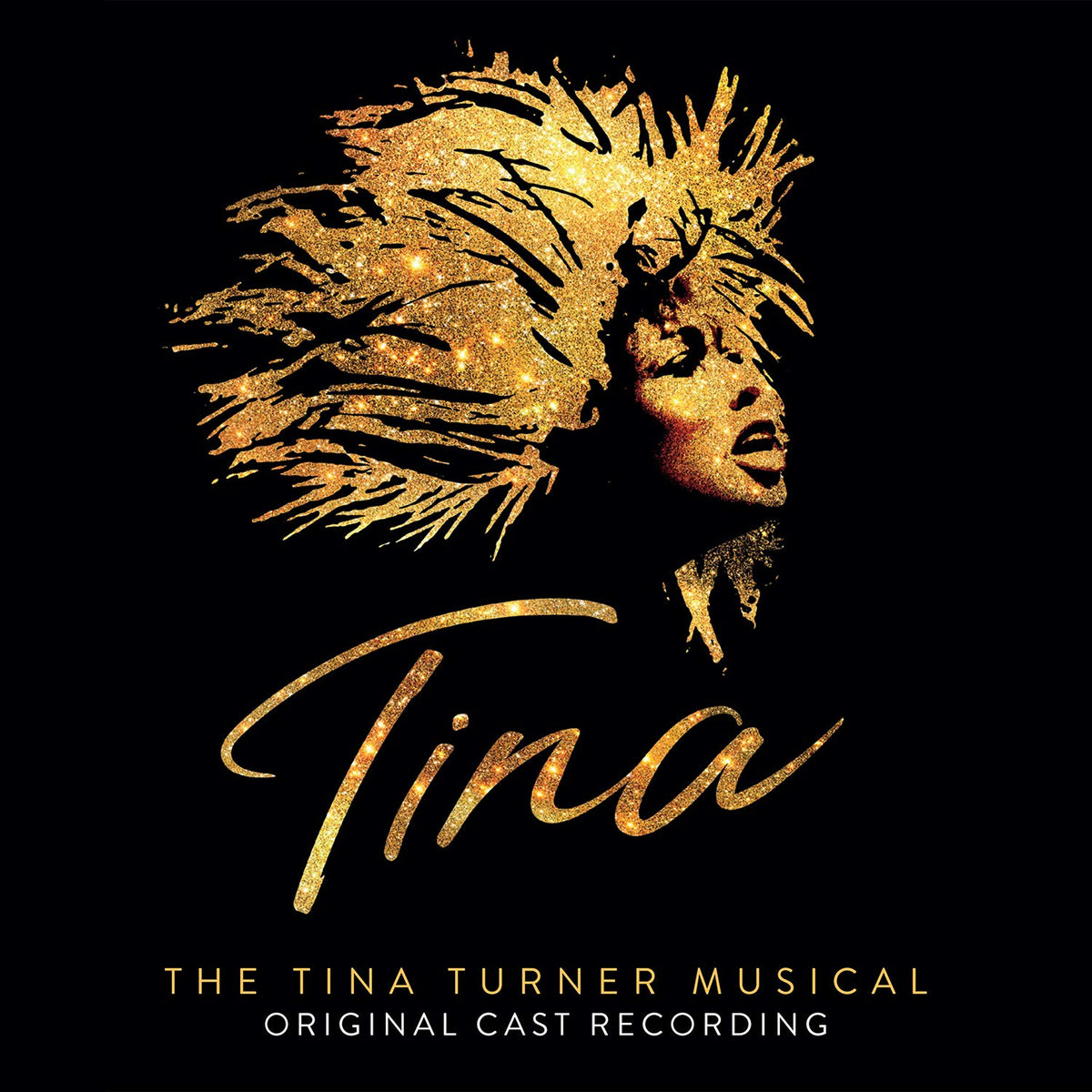 Various Perforners – Tina: The Tina Turner Musical vinyl record cover