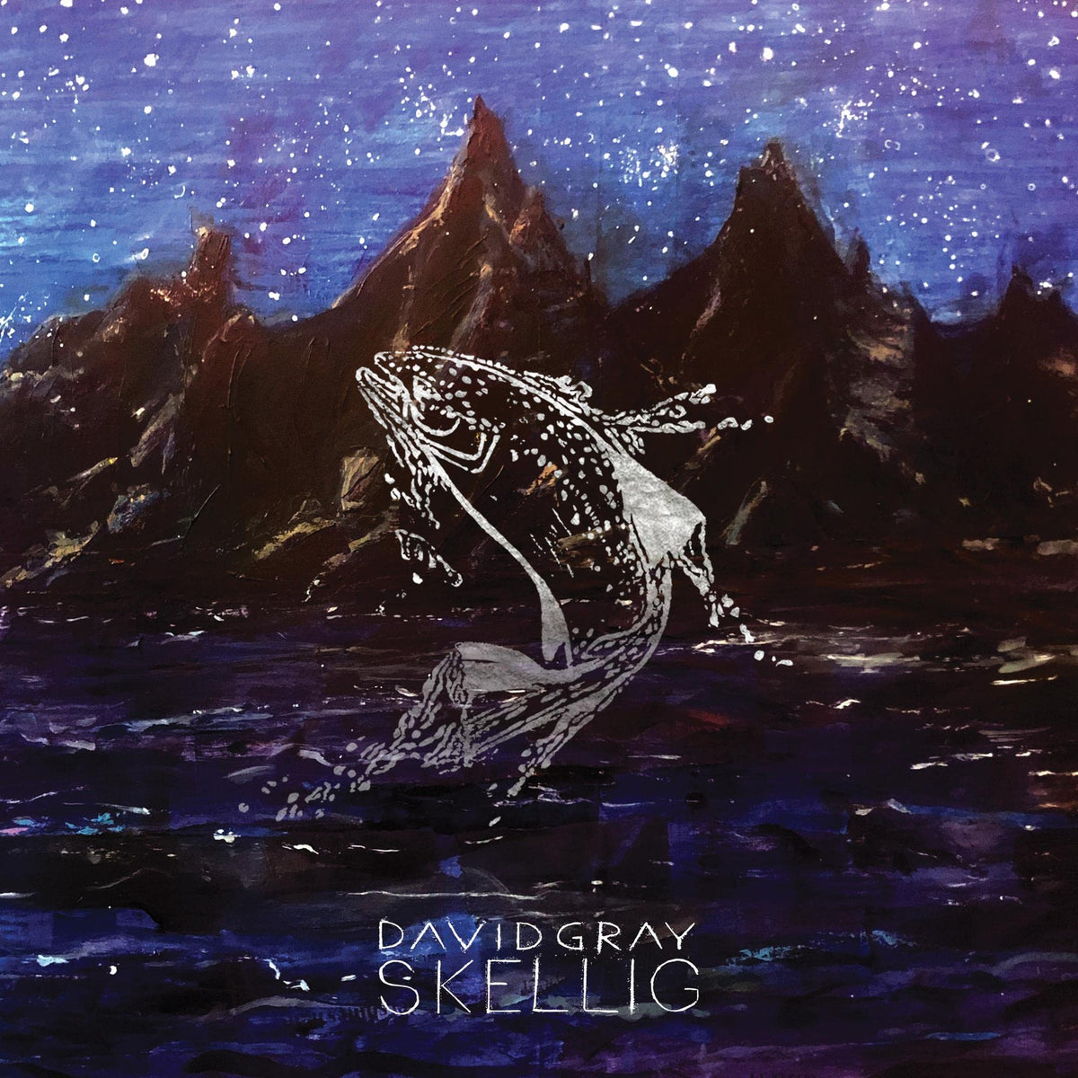 David Gray – Skellig vinyl record cover