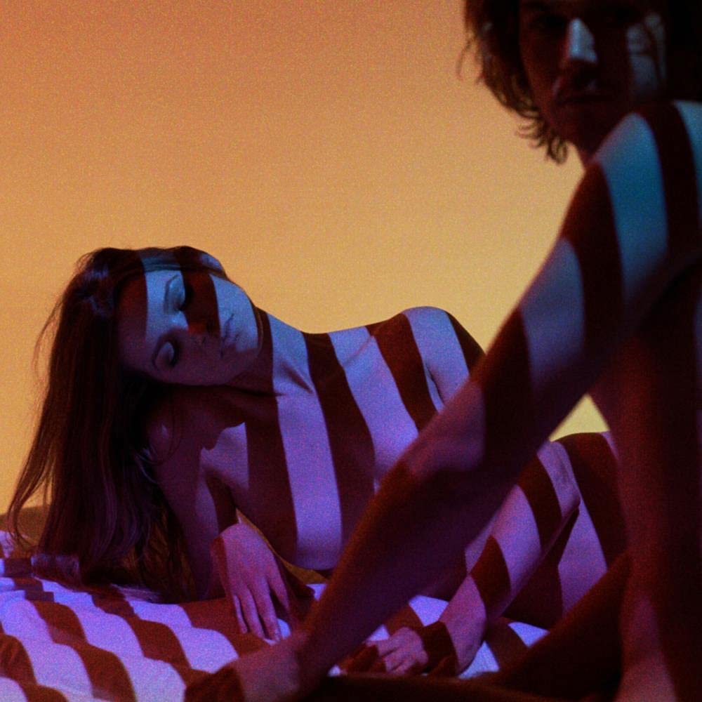 The Plot In You – SWAN SONG(LP) by PLOT IN YOU,THE vinyl record cover