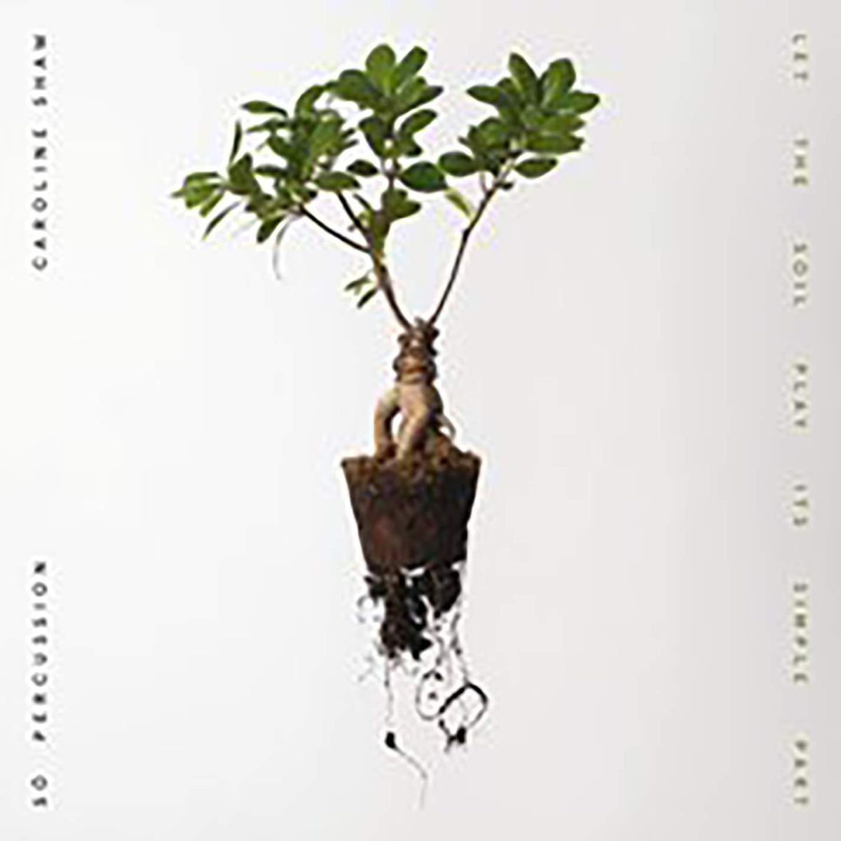 Caroline Shaw & So Percussion – Let The Soil Play Its Simple Part — record image 1