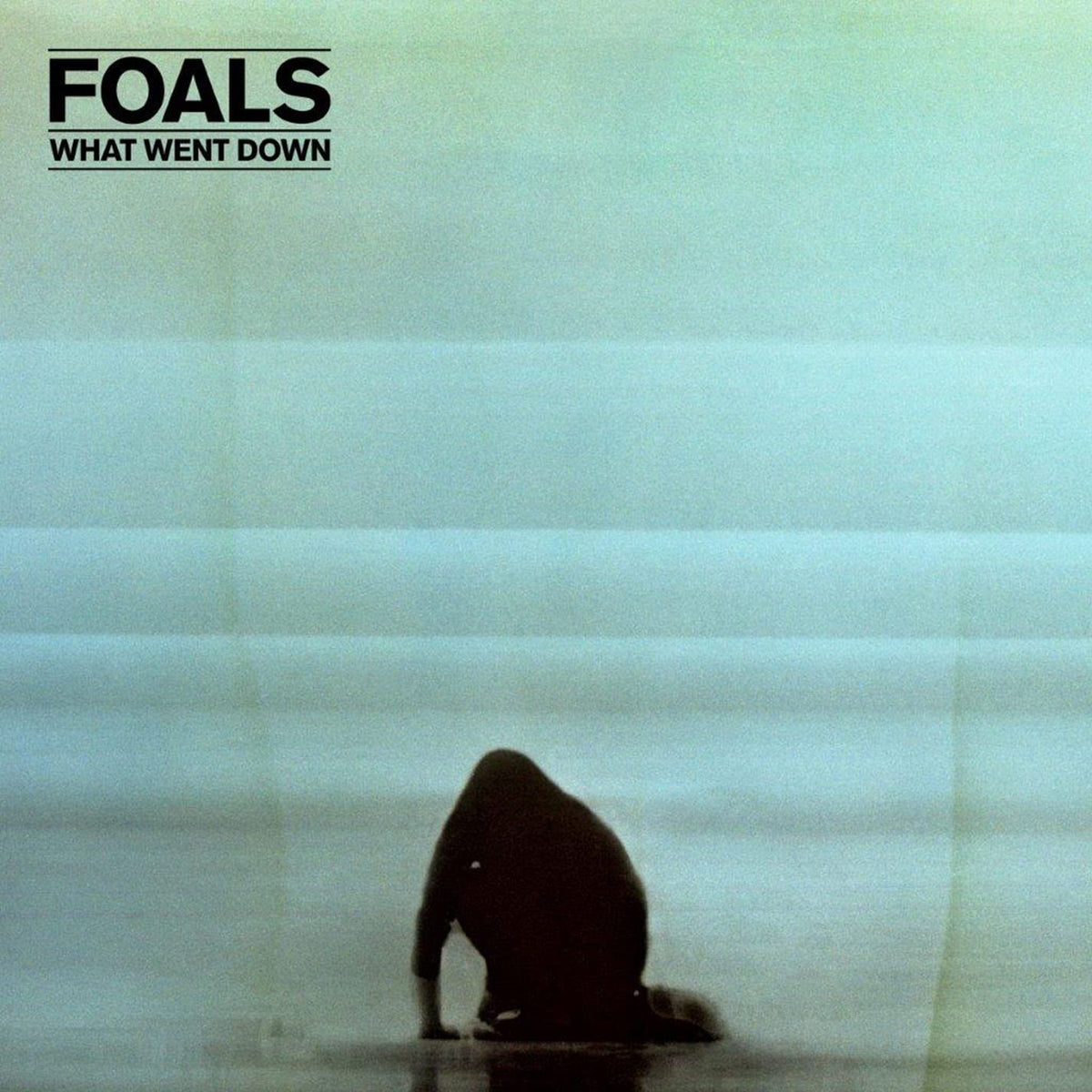 Foals – What Went Down vinyl record cover